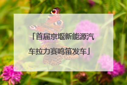 首届京堰新能源汽车拉力赛鸣笛发车