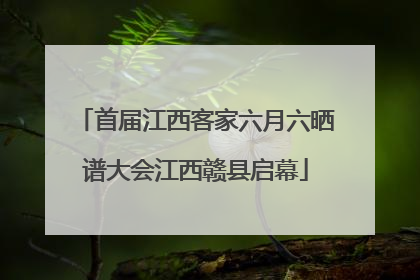 首届江西客家六月六晒谱大会江西赣县启幕