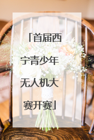 首届西宁青少年无人机大赛开赛