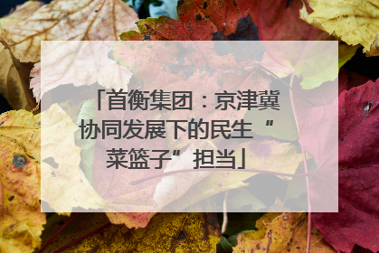 首衡集团：京津冀协同发展下的民生“菜篮子”担当