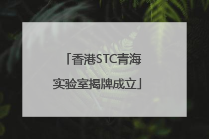 香港STC青海实验室揭牌成立