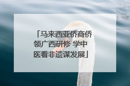 马来西亚侨商侨领广西研修 学中医看非遗谋发展
