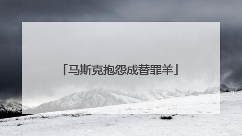 马斯克抱怨成替罪羊