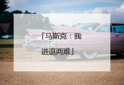 马斯克：我进退两难