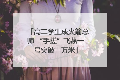 高二学生成火箭总师 “手搓”飞燕一号突破一万米