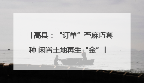 高县：“订单”苎麻巧套种 闲置土地再生“金”