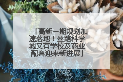 高新三期规划加速落地！丝路科学城又有学校及商业配套迎来新进展