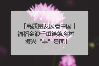 高质量发展看中国丨福稻金浪千重绘就乡村振兴“丰”景图