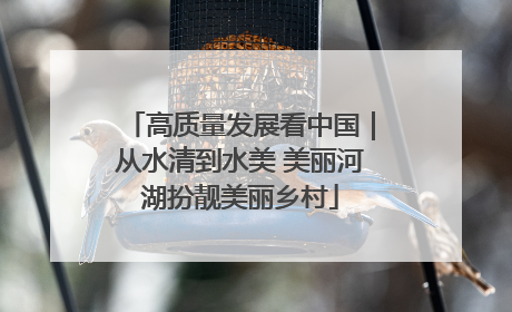 高质量发展看中国｜从水清到水美 美丽河湖扮靓美丽乡村