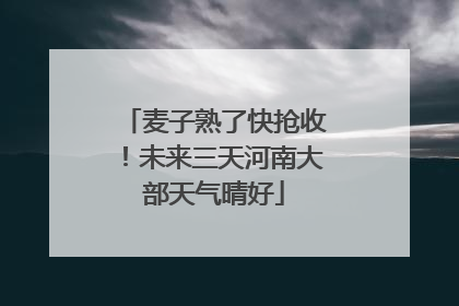 麦子熟了快抢收！未来三天河南大部天气晴好