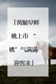 黄陂早鲜桃上市 “桃”气满满迎客来