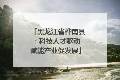 黑龙江省桦南县：科技人才驱动 赋能产业促发展