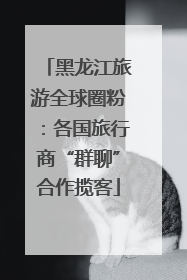 黑龙江旅游全球圈粉：各国旅行商“群聊”合作揽客