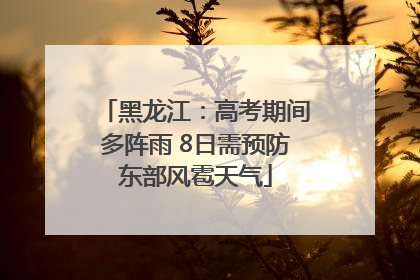 黑龙江：高考期间多阵雨 8日需预防东部风雹天气