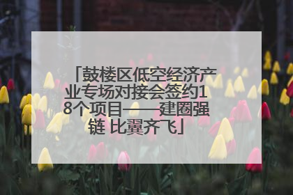 鼓楼区低空经济产业专场对接会签约18个项目——建圈强链 比翼齐飞