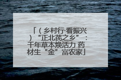 （乡村行·看振兴）“正北芪之乡”：千年草本焕活力 药材生“金”富农家