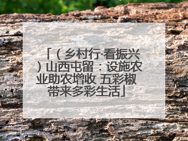 （乡村行·看振兴）山西屯留：设施农业助农增收 五彩椒带来多彩生活