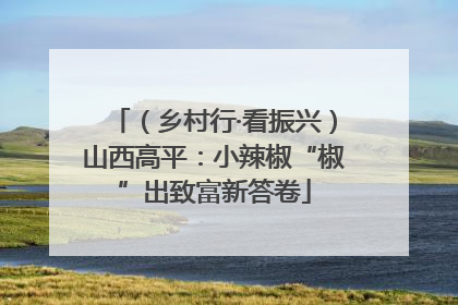 （乡村行·看振兴）山西高平：小辣椒“椒”出致富新答卷