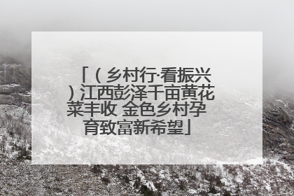 （乡村行·看振兴）江西彭泽千亩黄花菜丰收 金色乡村孕育致富新希望