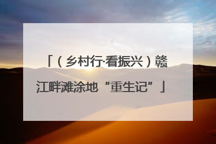 （乡村行·看振兴）赣江畔滩涂地“重生记”
