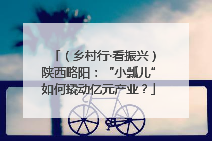 （乡村行·看振兴）陕西略阳：“小瓢儿”如何撬动亿元产业？