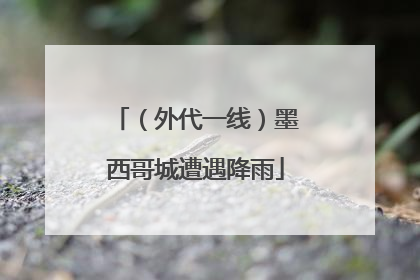 （外代一线）墨西哥城遭遇降雨