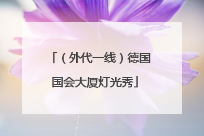 （外代一线）德国国会大厦灯光秀