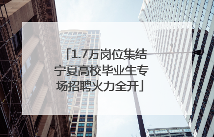 1.7万岗位集结 宁夏高校毕业生专场招聘火力全开