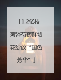1.2亿枝菏泽芍药鲜切花绽放“国色芳华”