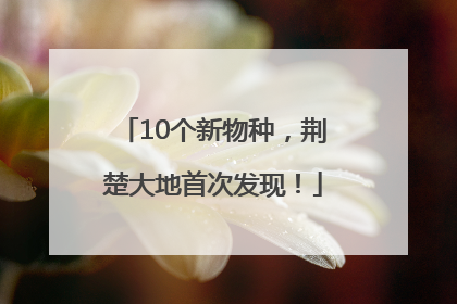 10个新物种，荆楚大地首次发现！