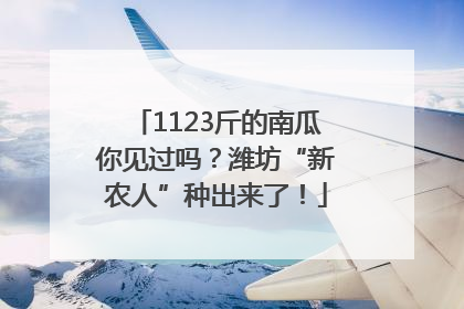 1123斤的南瓜你见过吗？潍坊“新农人”种出来了！