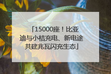 15000座！比亚迪与小桔充电、新电途共建兆瓦闪充生态
