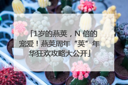 1岁的燕荚，N 倍的宠爱！燕荚周年“荚”年华狂欢攻略大公开