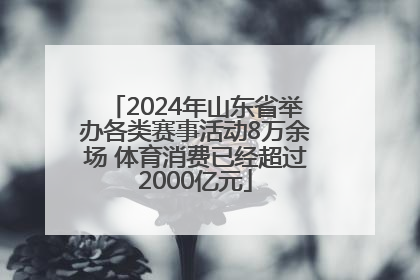 2024年山东省举办各类赛事活动8万余场 体育消费已经超过2000亿元