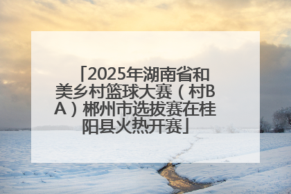 2025年湖南省和美乡村篮球大赛（村BA）郴州市选拔赛在桂阳县火热开赛