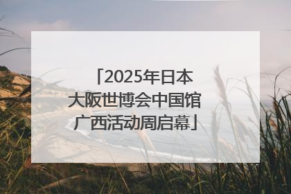 2025年日本大阪世博会中国馆广西活动周启幕