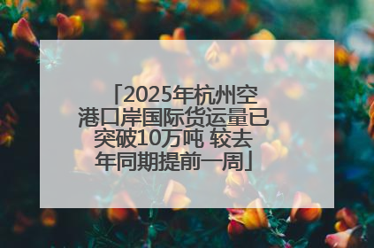 2025年杭州空港口岸国际货运量已突破10万吨 较去年同期提前一周