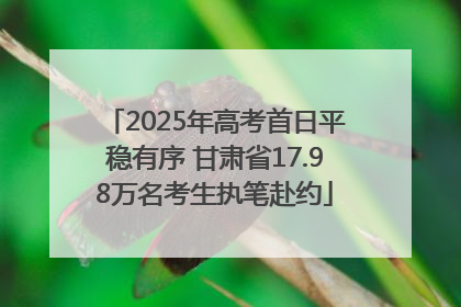 2025年高考首日平稳有序 甘肃省17.98万名考生执笔赴约