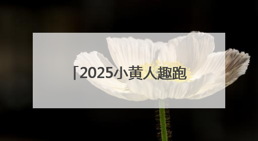 2025小黄人趣跑北京园博园站收官