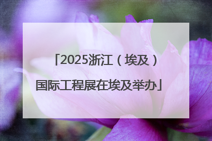 2025浙江（埃及）国际工程展在埃及举办
