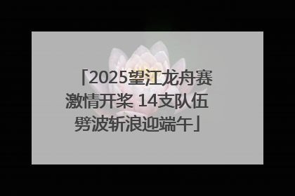 2025望江龙舟赛激情开桨 14支队伍劈波斩浪迎端午