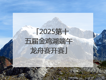 2025第十五届金鸡湖端午龙舟赛开赛