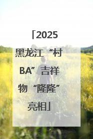 2025黑龙江“村BA”吉祥物“隆隆”亮相