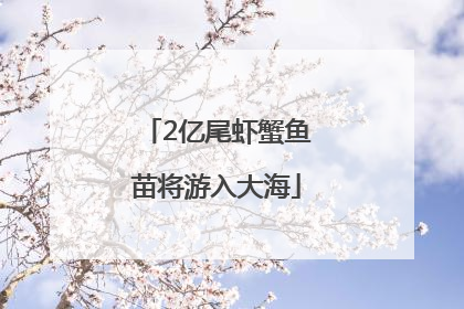 2亿尾虾蟹鱼苗将游入大海