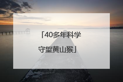 40多年科学守望黄山猴
