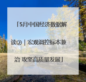 5月中国经济数据解读②｜宏观调控标本兼治 攻坚高质量发展