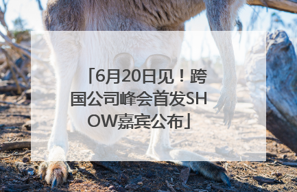 6月20日见！跨国公司峰会首发SHOW嘉宾公布
