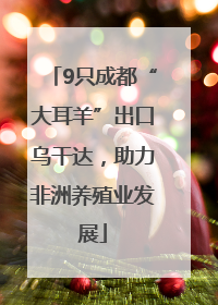 9只成都“大耳羊”出口乌干达，助力非洲养殖业发展