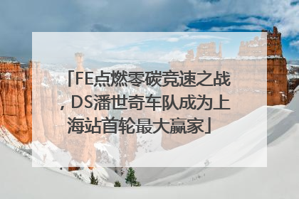 FE点燃零碳竞速之战，DS潘世奇车队成为上海站首轮最大赢家