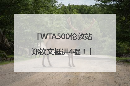 WTA500伦敦站 郑钦文挺进4强！